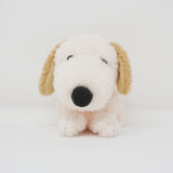 2022 Andy Mini Plush - Peanuts Snoopy